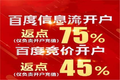 案例研究：信息流广告投放优化